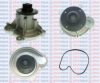 MERCE 2712000901 Water Pump